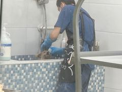 -天宠宠物医院24小时·急重症诊疗中心·全科·腔镜特色(和平分院)