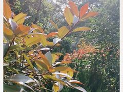 -小杨烤肉(高新店)