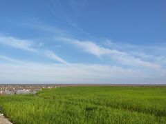 -南汇嘴观海公园