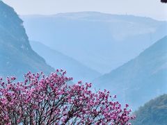 -九皇山景区