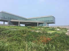 -涉地可支
