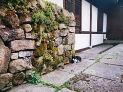 -法云安缦酒店