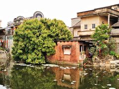 -烟桥私房菜馆(奋哥)