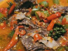 -新仙清汤牛腩(铜锣湾店)