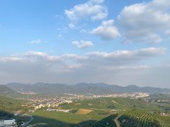 -龙坞茶村
