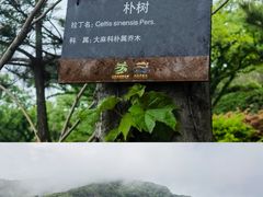 -海上云台山景区