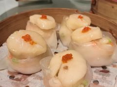 -新同乐鱼翅酒家(美丽华店)