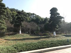 -韶山毛泽东同志故居