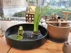 -奥本瑜伽·普拉提