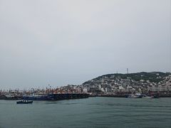-枸杞岛