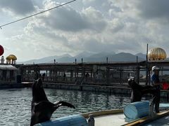 -海南分界洲岛旅游区