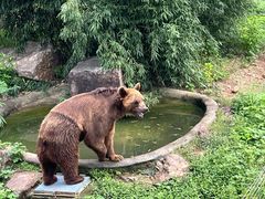 -无锡动物园·太湖欢乐园