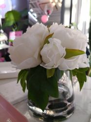 -Priscilla皮肤管理中心