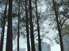 -四海公园(南山区)