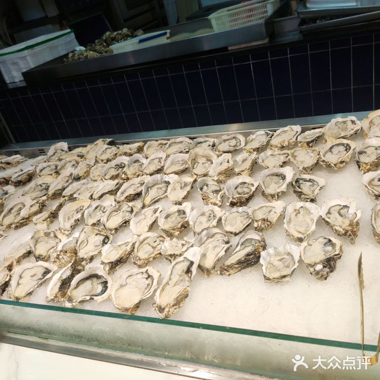 西铁营羊毛