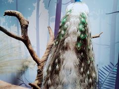 -陕西自然博物馆