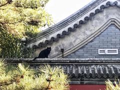 -四川大学(华西校区)