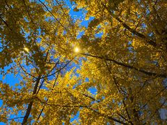 -高庙村(地铁站)