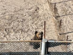 -青藏高原野生动物园