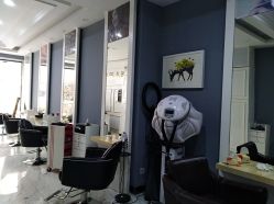 -DL HAIR SALON