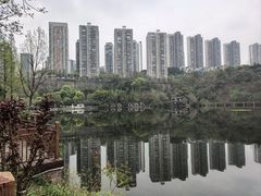 -重庆彩云湖湿地公园