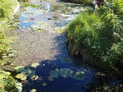 -燕郊植物园
