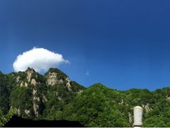 -王顺山国家森林公园