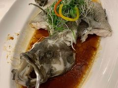 清蒸龙利鱼-名苑皇宫酒家(来魅力壁画村店)