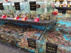-渔码头食府(蓬莱阁店)