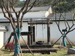 -无锡动物园·太湖欢乐园