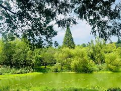 -昆山城市生态森林公园