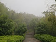 -达蓬山旅游度假区