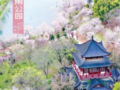 -武汉大学-樱园