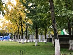 -重庆市江北嘴中央商务区中央公园