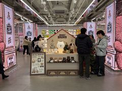 -line friends(明洞旗舰店)