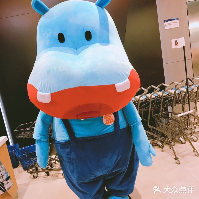 盒马鲜生(平高广场店)图片