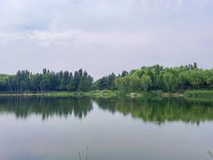 -北坞公园