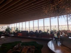 -Seesaw Coffee(朝阳大悦城店)