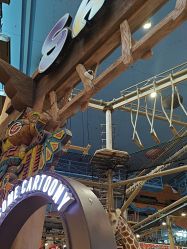 -卡通尼·Safari非洲探索乐园·生日会(金桥国际商业广场店)