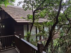 -三亚亚龙湾人间天堂鸟巢度假村