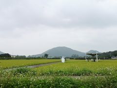 -艾米稻香小镇