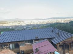 -岚山猴子公园