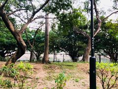 -沙田公园