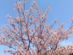 -新江湾城公园
