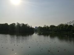 -新江湾城公园