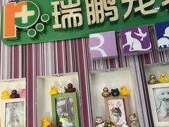 -瑞鹏·疫苗·绝育·宠物医院(金沙洲店)