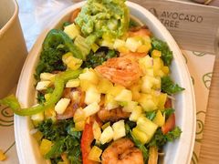 -油梨树AVOCADO TREE(望京店)