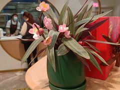 -稻香村(观前街店)