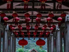 -广州神农草堂中医药博物馆