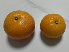 -上海大学(宝山校区)